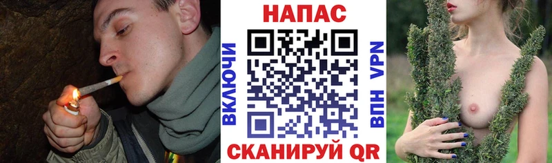 ГАШ Элиста