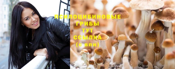 МДПВ Верея