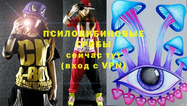 МДПВ Верея
