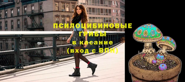 трава Верхнеуральск
