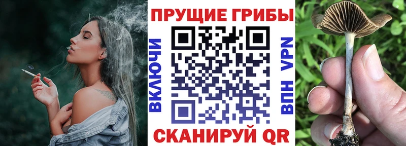 Псилоцибиновые грибы прущие грибы Элиста